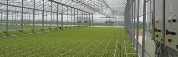 Topo 47 releves parcellaires implantation batiments agricoles marmande agen langon bordeaux toulouse lot et garonne nouvelle aquitaine